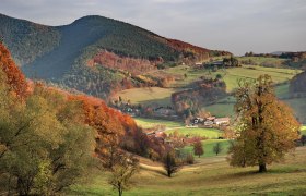 Der Wienerwald, © Gasthof zur Bruthenne