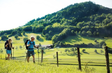 Pielachtaler Pilgerweg - bei Kirchberg an der Pielach, © weinfranz.at