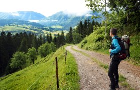 Ausblick an der Via Trinitatis, © Mostviertel