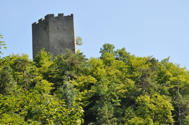 Ruine Freyenstein, © Marktgemeinde Neustadtl an der Donau