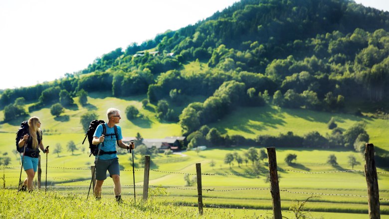 Pielachtaler Pilgerweg - bei Kirchberg an der Pielach, © weinfranz.at