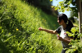 Mit der Natur in Verbindung, © weinfranz.at