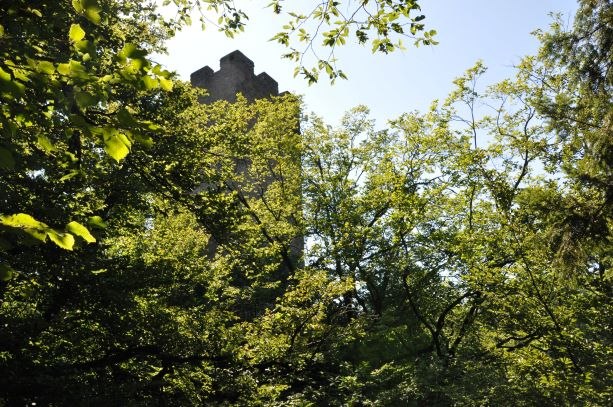 Ruine Freyenstein, © Marktgemeinde Neustadtl an der Donau