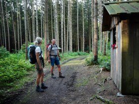 Durch den Wald pilgern, © Mostviertel