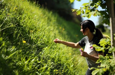 Mit der Natur in Verbindung, © weinfranz.at