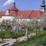 Baumblüte im historischen Hofgarten, © Stift Seitenstetten