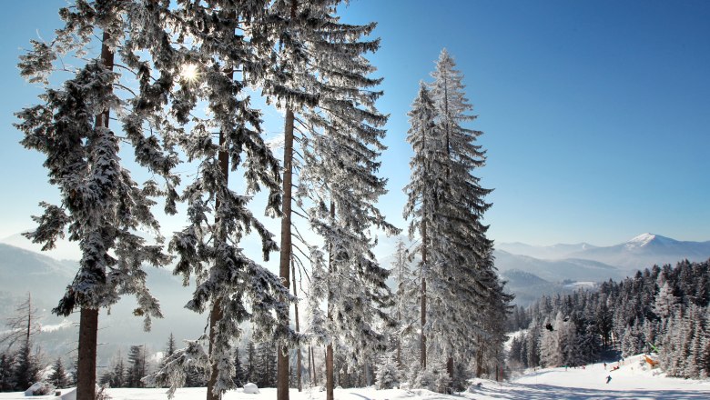 Winter in Annaberg, © Mostviertel Tourismus, weinfranz.at