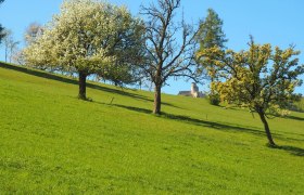 Mit Blick auf die Araburg, © Kaumberg/Doris Radinger