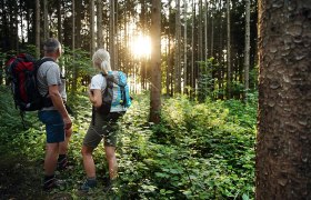 Ruhe im Wald, © weinfranz.at