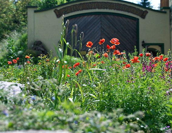 Naturgärten, © Natur im Garten/Alexander Haiden